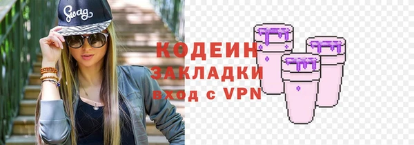 индика Новозыбков
