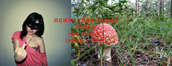 spice Няндома