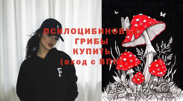 трава Нязепетровск