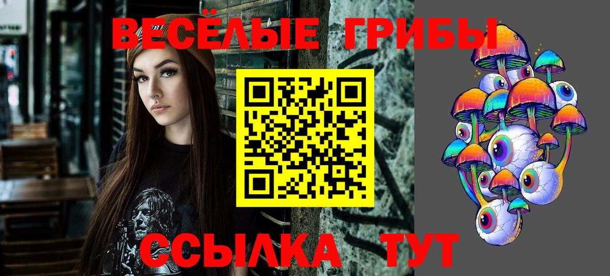 купить наркотики сайты  Псилоцибиновые грибы Psilocybe  Вход с VPN  Скопин 